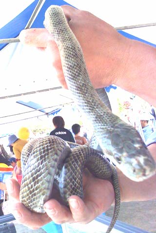 c0133755_21224236.jpg