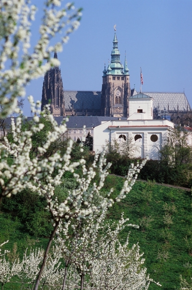 e0134658_4301998.jpg