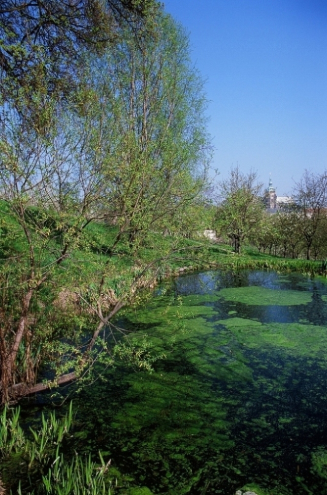 e0134658_4341996.jpg