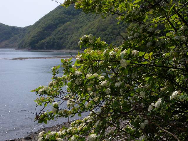b0104861_1955822.jpg