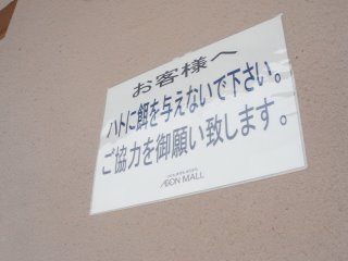 a0087164_23482677.jpg