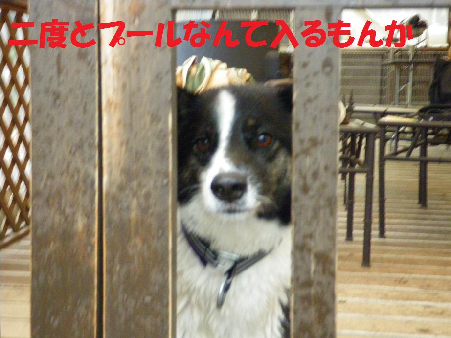 a0104464_1416348.jpg