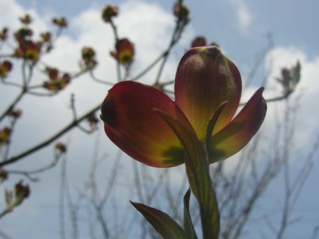 a0093566_0111383.jpg