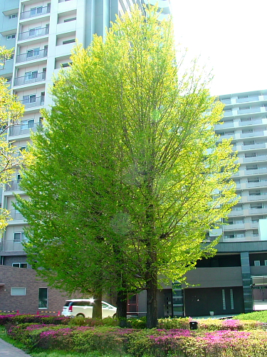 f0166066_15405788.jpg