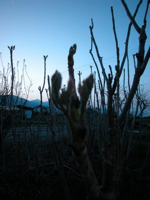 c0166668_6172469.jpg