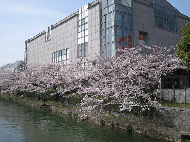d0037669_16551115.jpg