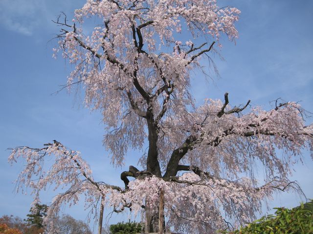 d0037669_1655385.jpg