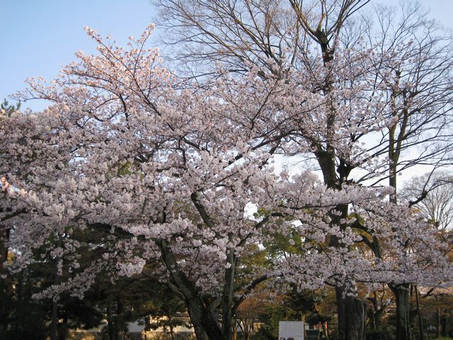 d0037669_16555961.jpg