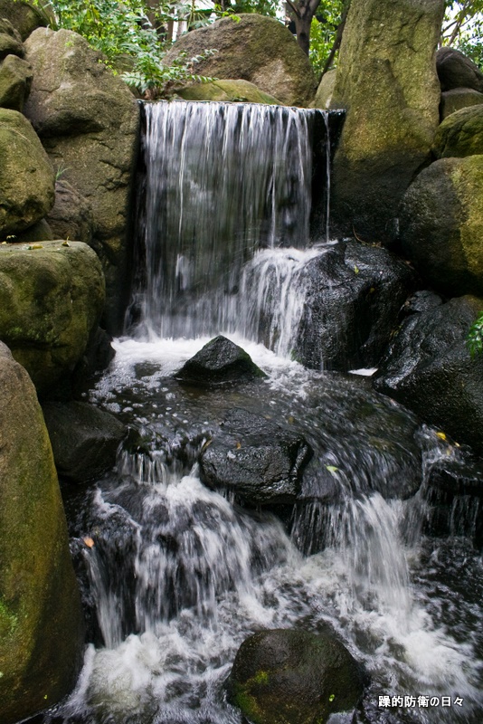 b0131071_23444716.jpg