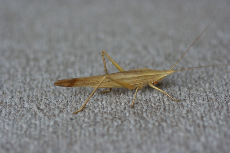 b0088772_21355889.jpg