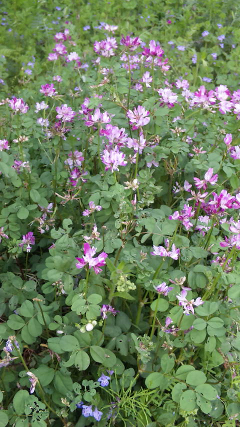 c0192373_015220.jpg