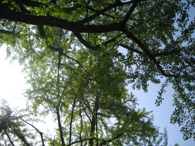 f0183274_205559.jpg