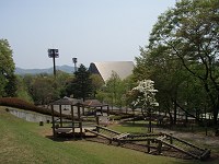 b0004675_19502223.jpg