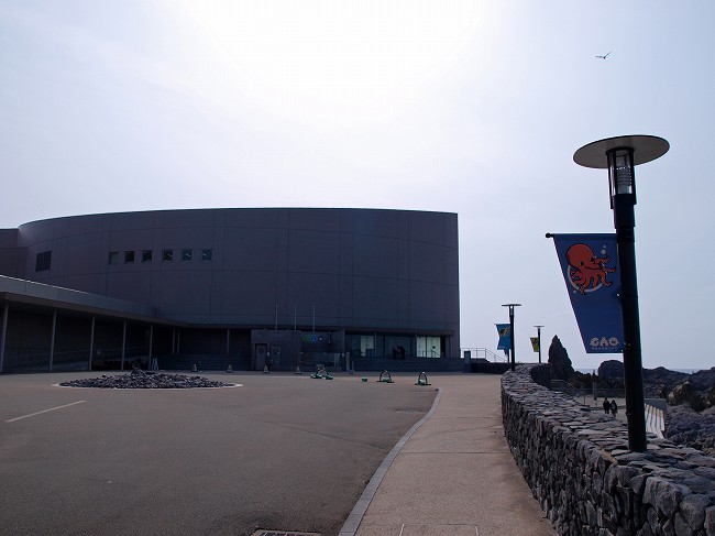 b0145677_19515870.jpg