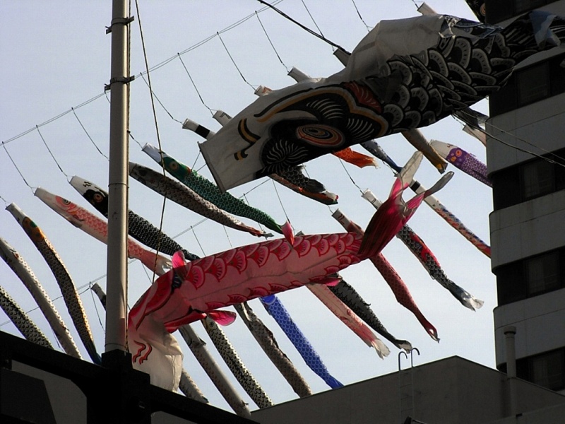 c0183777_193363.jpg