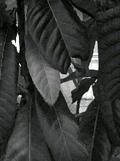 f0100480_17304760.jpg