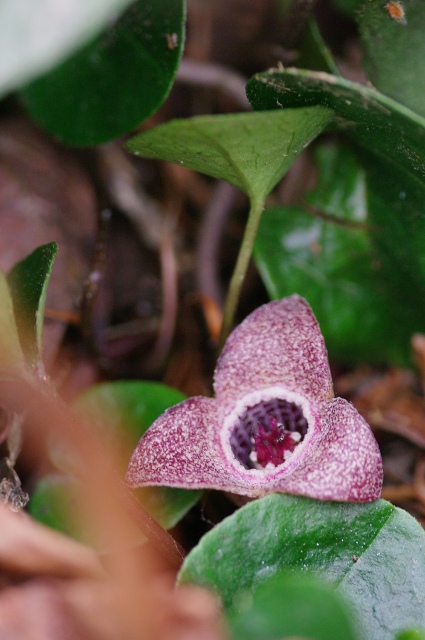 c0135381_22102479.jpg