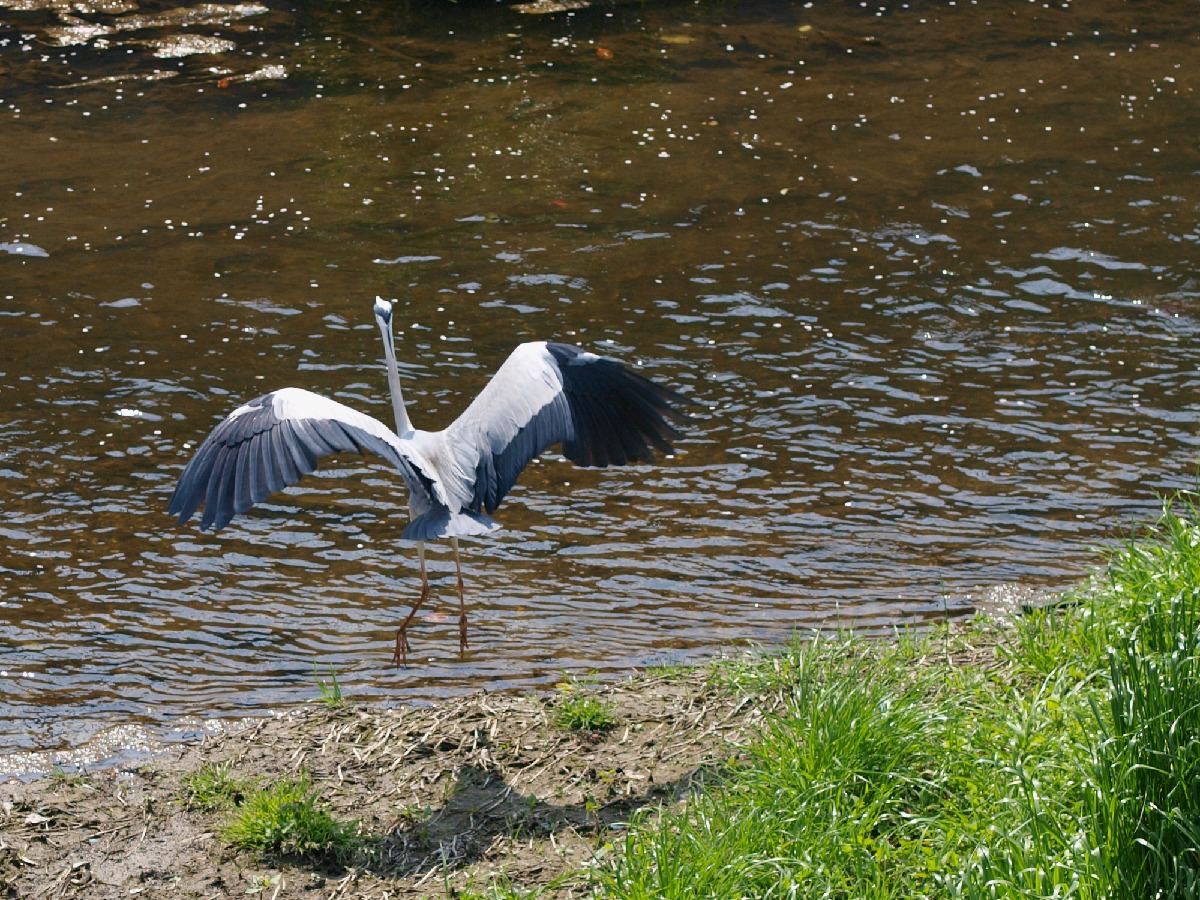 c0187587_11471727.jpg