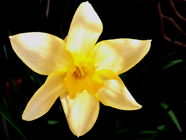 a0007388_1253368.jpg