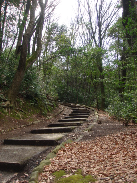 c0160089_234266.jpg