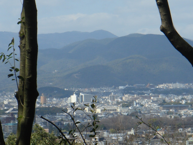 c0160089_2372552.jpg