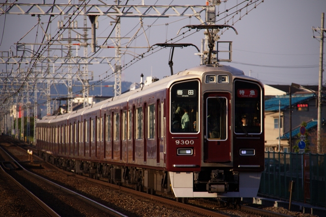 b0114392_223075.jpg