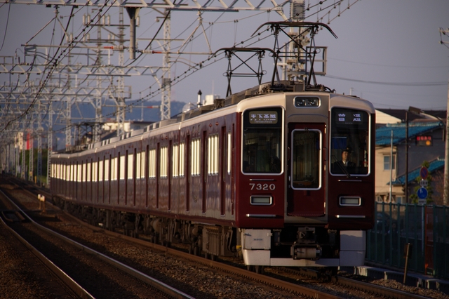 b0114392_2354744.jpg