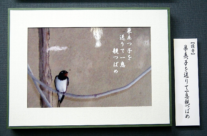 c0186592_8141731.jpg