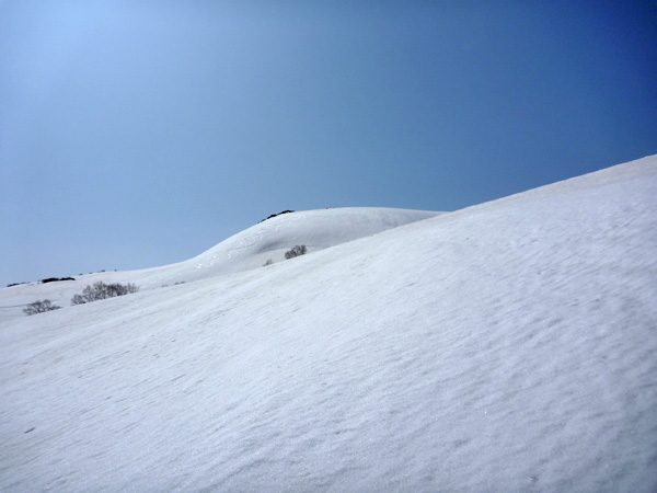 a0043193_23193643.jpg