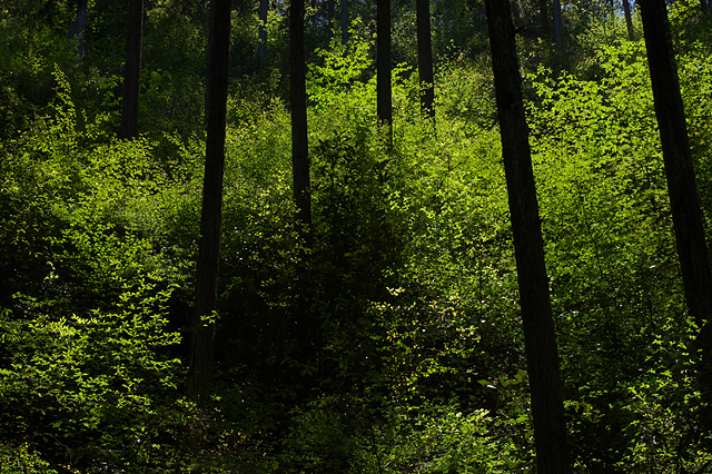 d0146295_016762.jpg