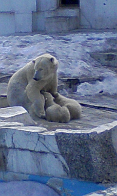 d0107097_19475366.jpg