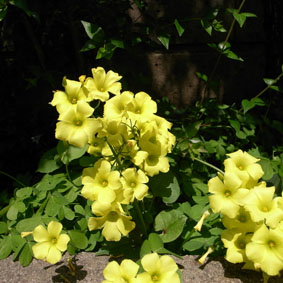 f0108399_20195491.jpg