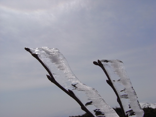 f0157901_1933376.jpg