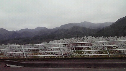e0157402_22144849.jpg