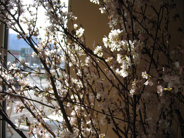 c0144703_1538646.jpg