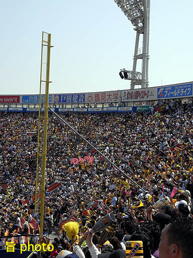 b0061004_1134949.jpg