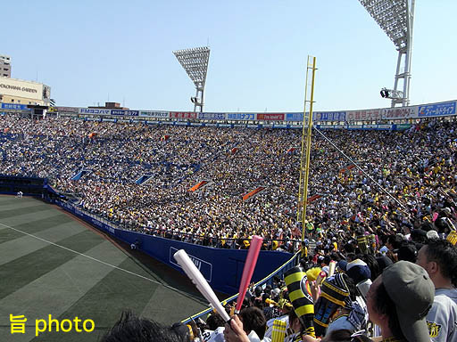 b0061004_1153461.jpg
