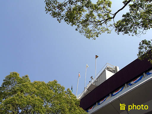 b0061004_115955.jpg
