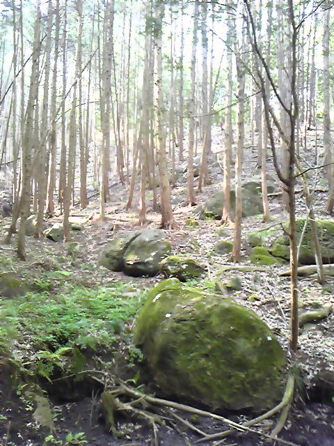 e0015108_1040192.jpg