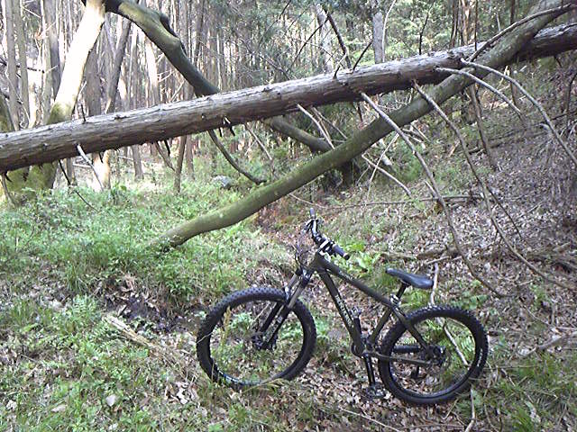 e0015108_1040795.jpg