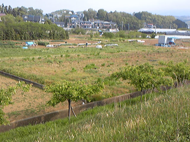 e0015108_104352.jpg