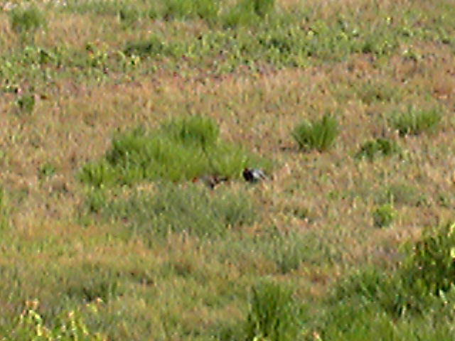 e0015108_10445686.jpg