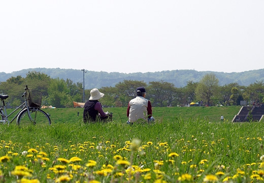 e0066210_2324139.jpg