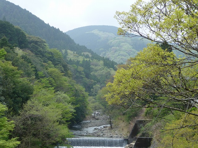 f0182513_11422328.jpg