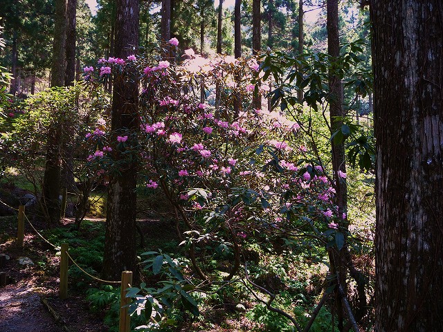 f0182513_11441070.jpg
