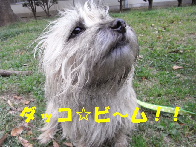c0039114_2215163.jpg