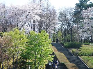 e0090714_1115503.jpg