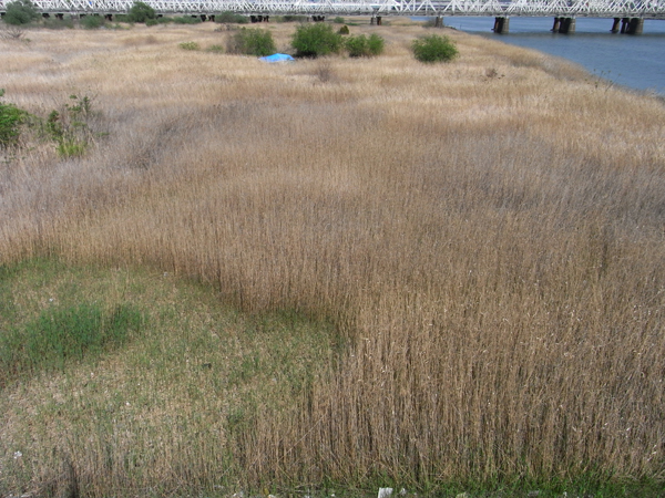 f0107315_22333595.jpg