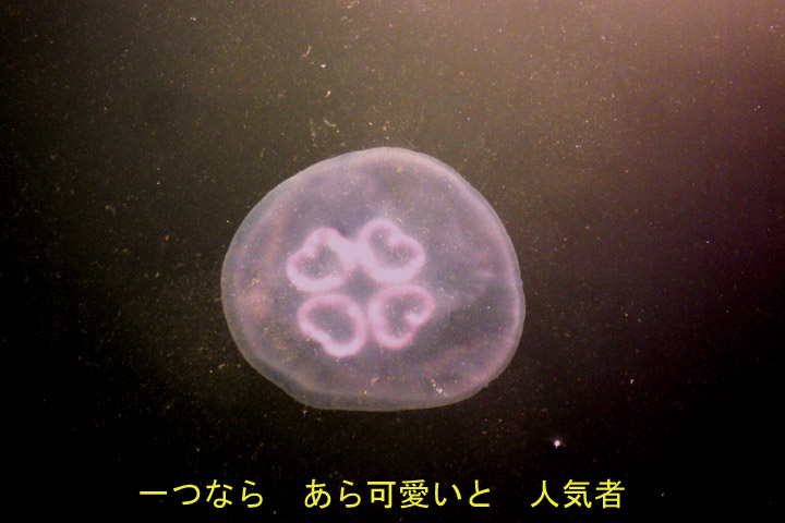 e0083517_2311210.jpg