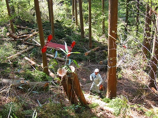 e0002820_13394419.jpg